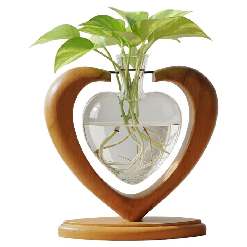 Propagation Station Vase - Station de Propagation de Plantes IALJ,