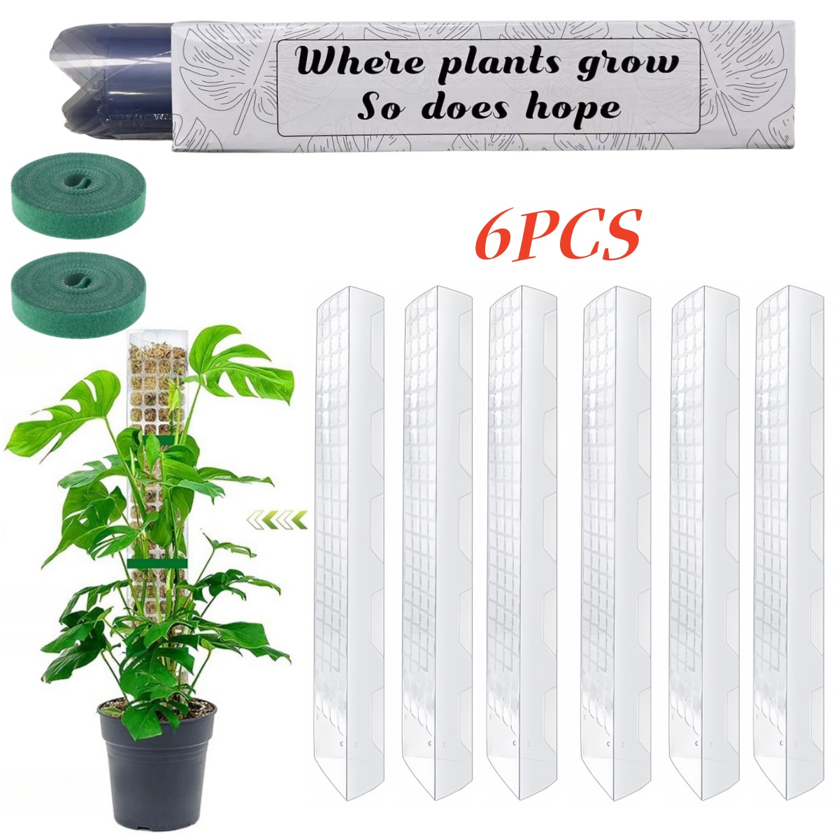 Sphagnum Moss Dry - Support de Plantes en Plastique pour