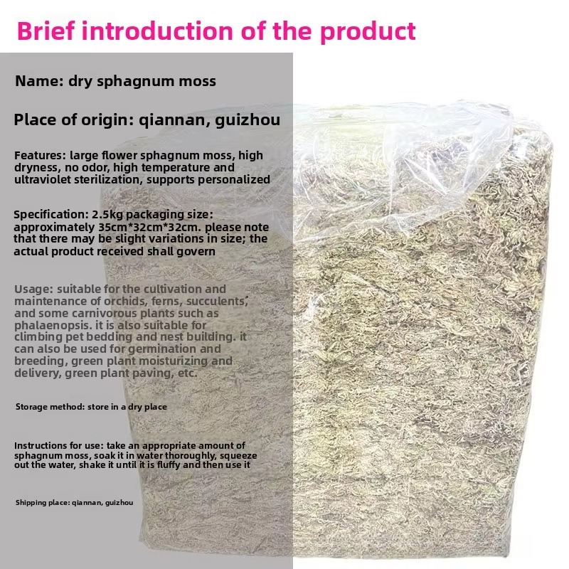 Mousse de Sphagnum 2,5 kg en v - Sphagnum Moss Dry avis et prix