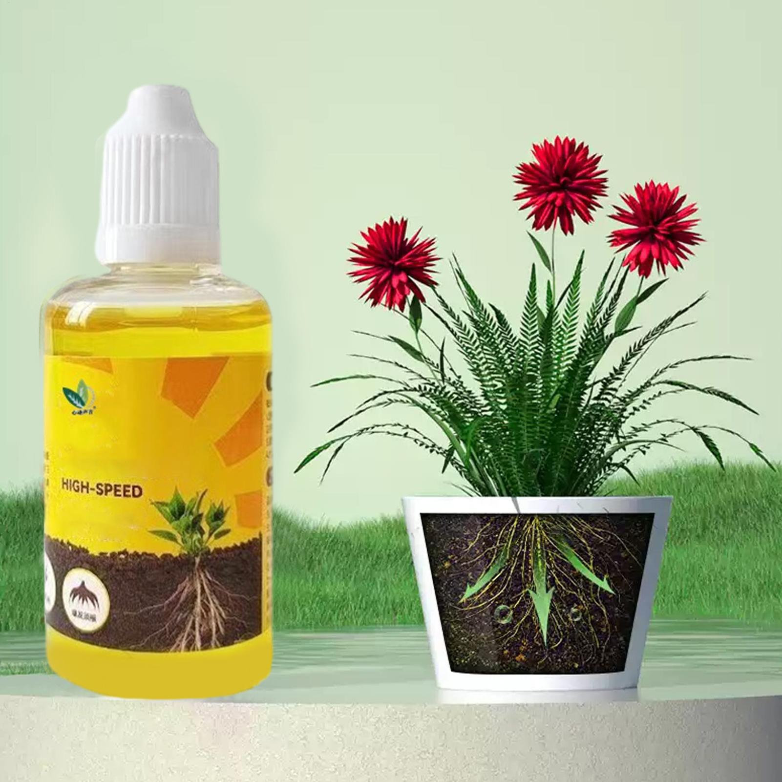 Stimulateur de racines liquide - Root Stimulator Liquid avis et prix