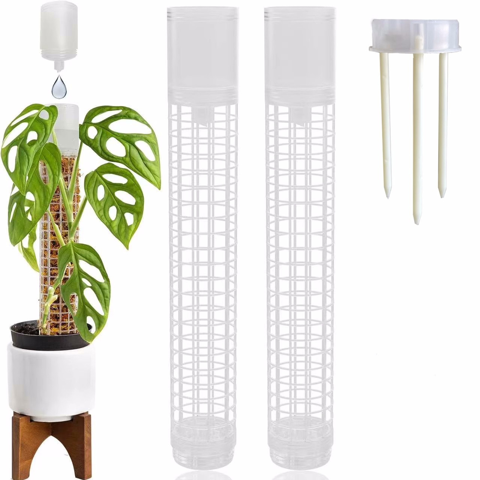 Support de plantes en plastiqu - Sphagnum Moss Dry avis et prix