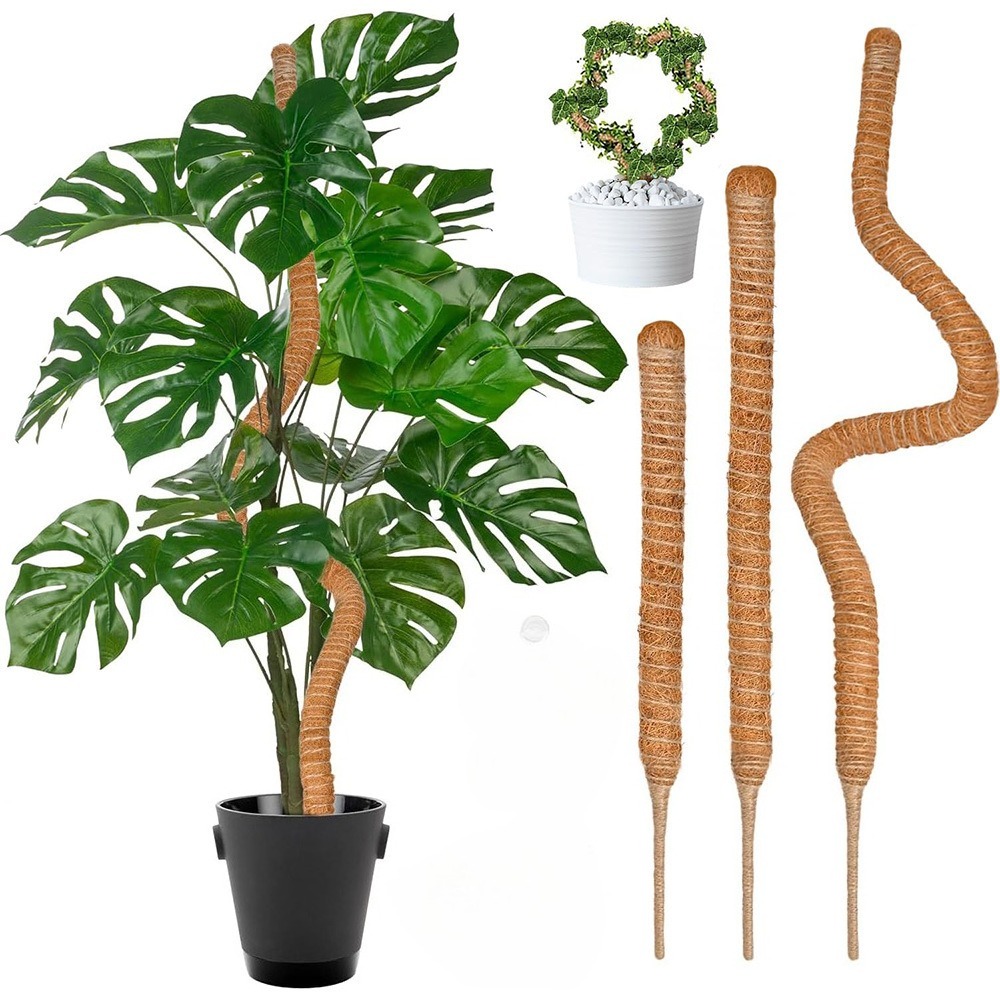 Support d'escalade pour plante - Sphagnum Moss Dry avis et prix