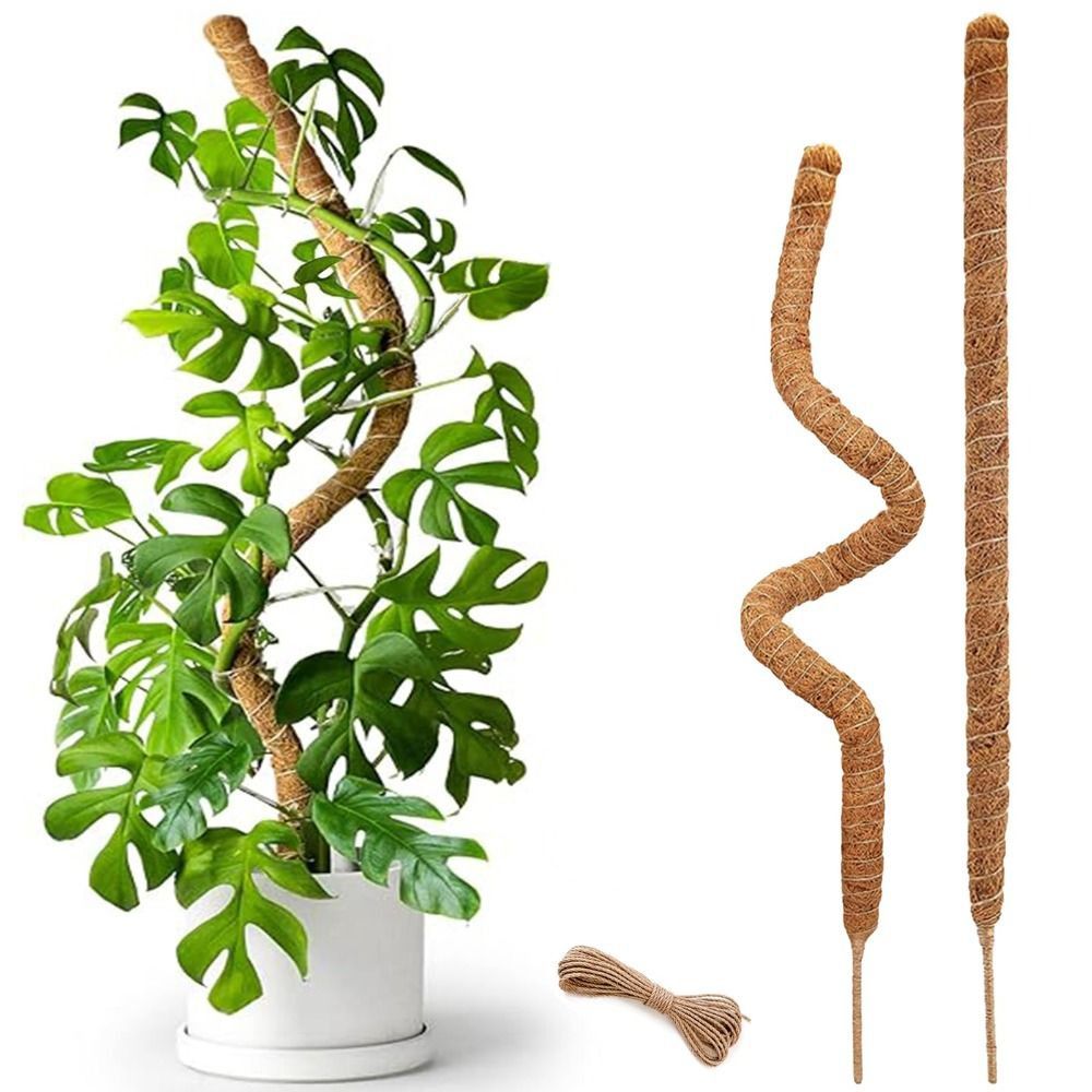 Support de plante flexible en  - Sphagnum Moss Dry avis et prix