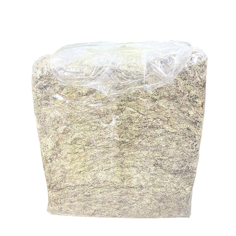 Mousse de Sphagnum 5KG en vrac - Sphagnum Moss Dry avis et prix