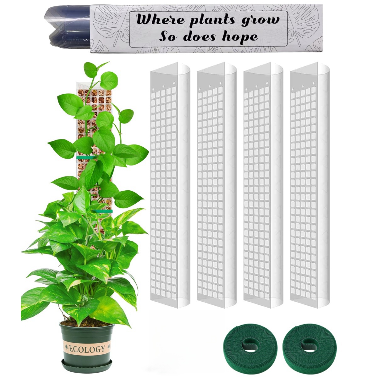 Support en plastique pour plan - Sphagnum Moss Dry avis et prix
