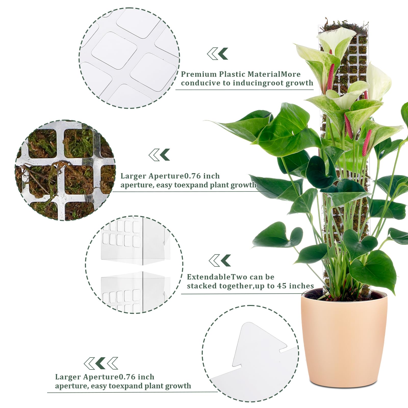 Support de Plantes en Plastiqu - Sphagnum Moss Dry avis et prix