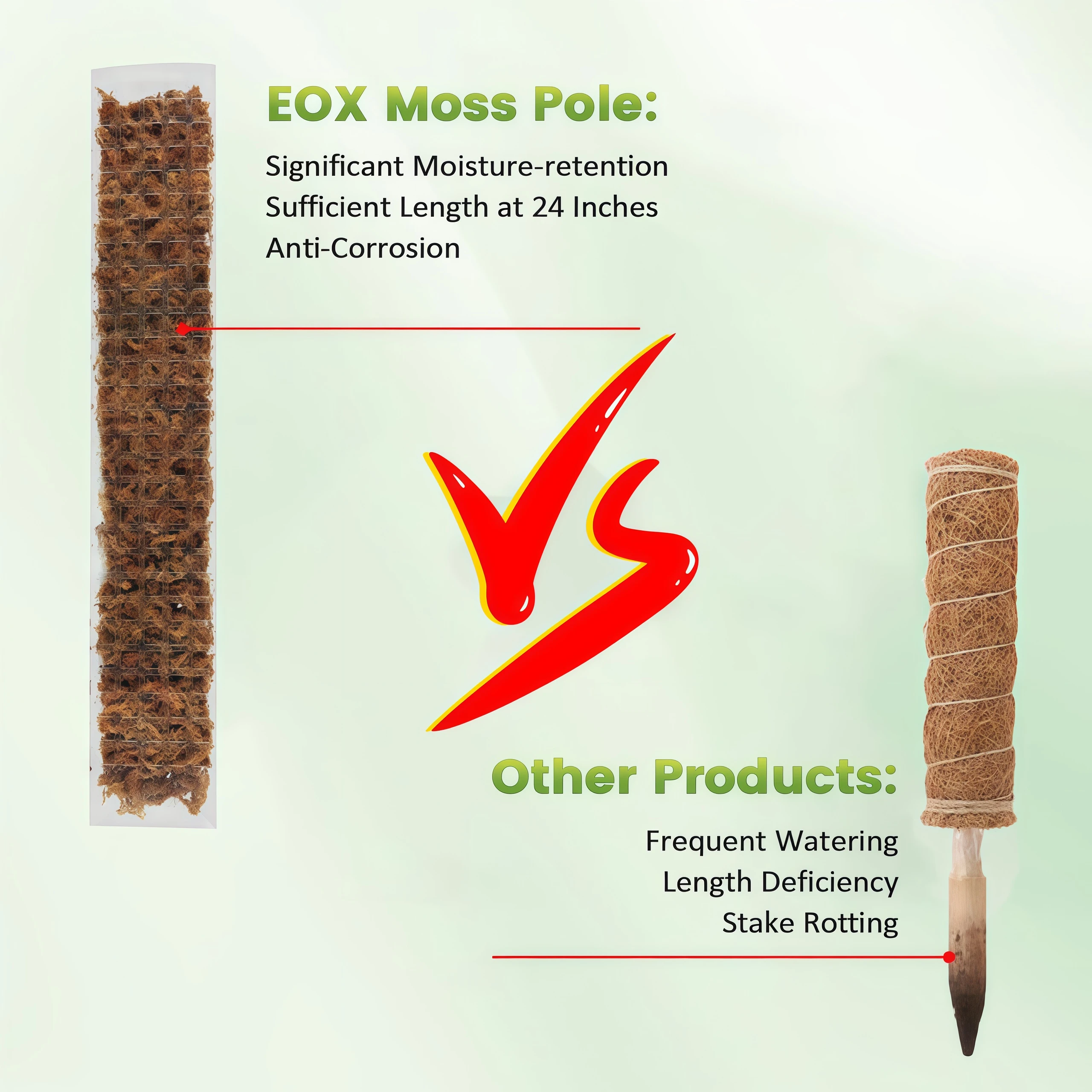 Support en plastique pour plan - Sphagnum Moss Dry avis et prix